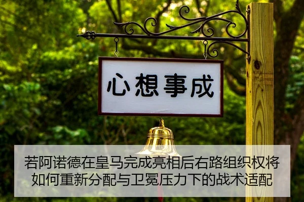 ruo-a-nuo-de-zai-huang-ma-wan-cheng-liang-xiang-hou-you-lu-zu-zhi-quan-jiang-ru-he-chong-xin-fen-pei-yu-wei-mian-ya-li-2-773.jpg